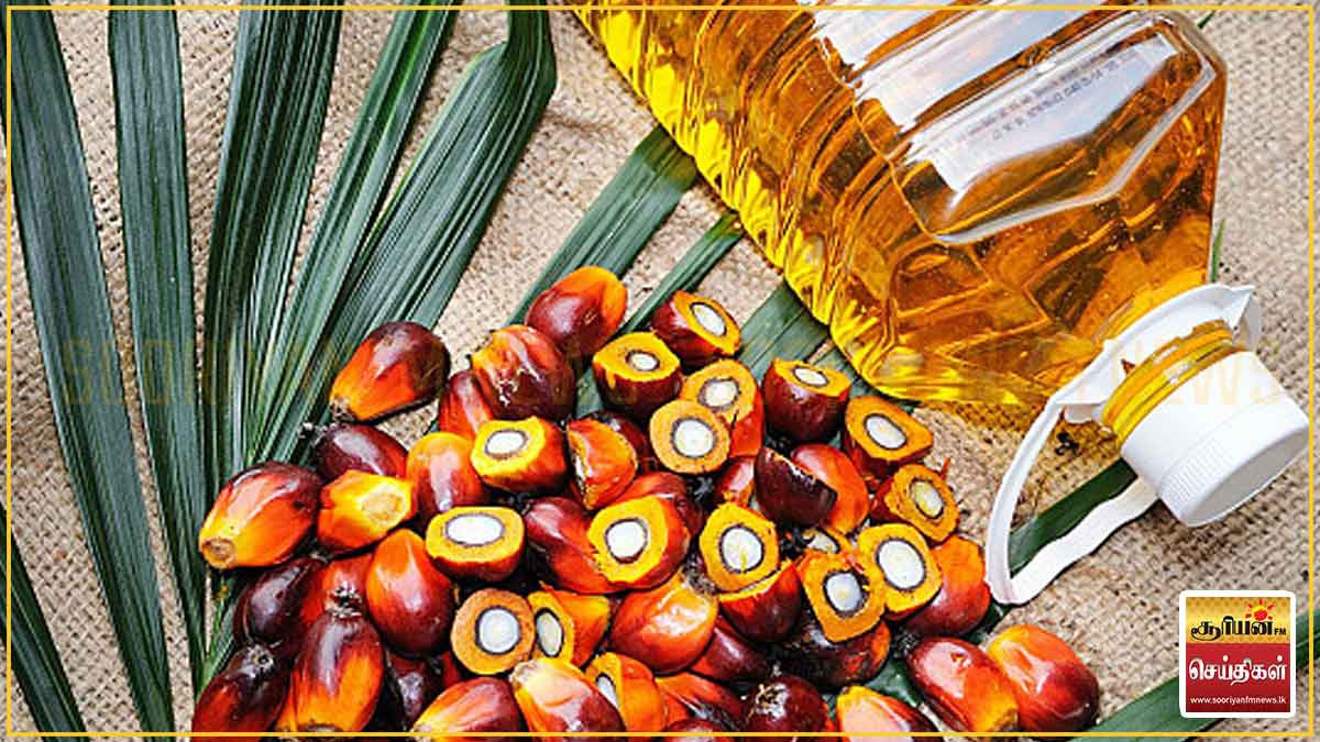 பாம் எண்ணெய் இறக்குமதியால் இலங்கைக்கு ஏற்பட்டுள்ள பாரிய நஷ்டம் 