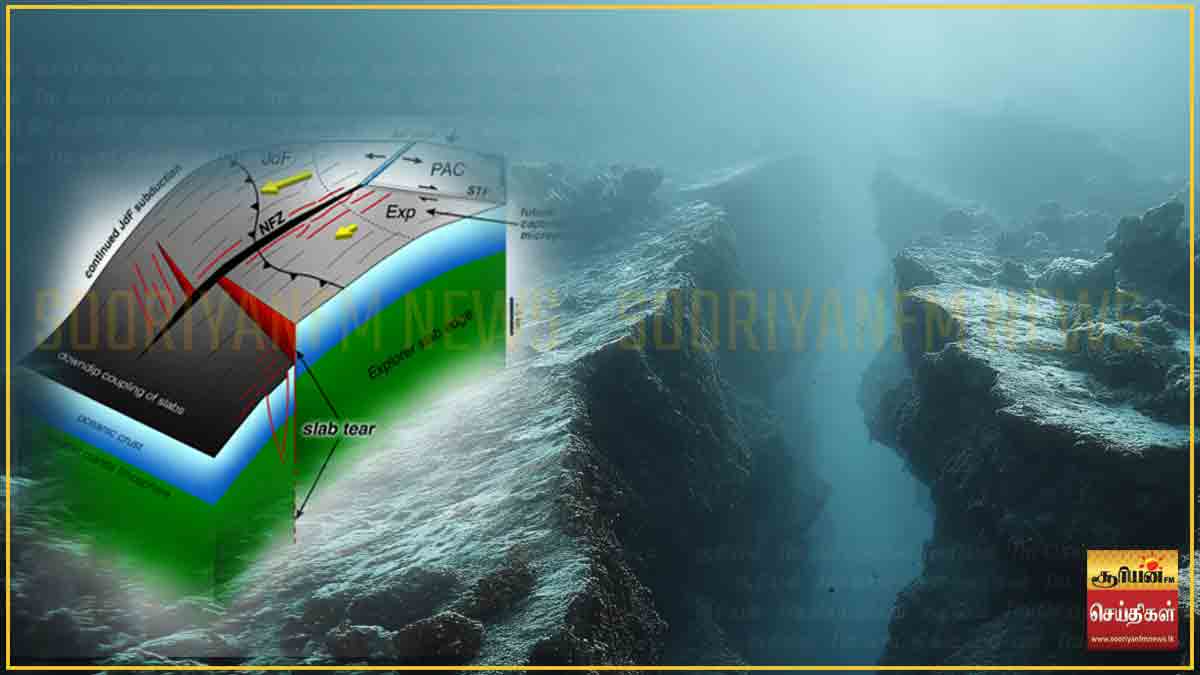 பசிபிக் பெருங்கடலுக்கு அடியில் பிளக்கும் பூமி! - துண்டு துண்டாக உடையும் நிலத்தட்டு குறித்து விஞ்ஞானிகள் அதிர்ச்சித் தகவல்