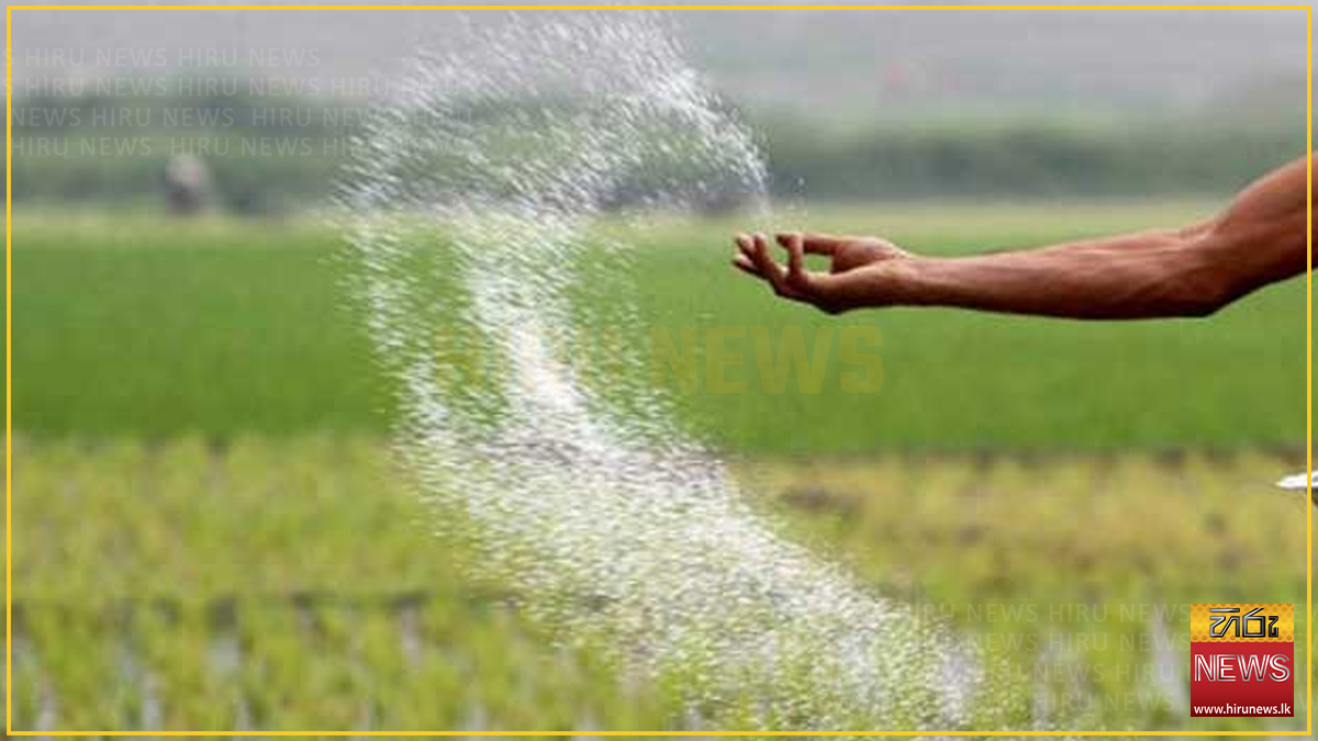 පොහොර නැතිව වැල්ලවායේ වී ගොවීන්ට ගැටලු