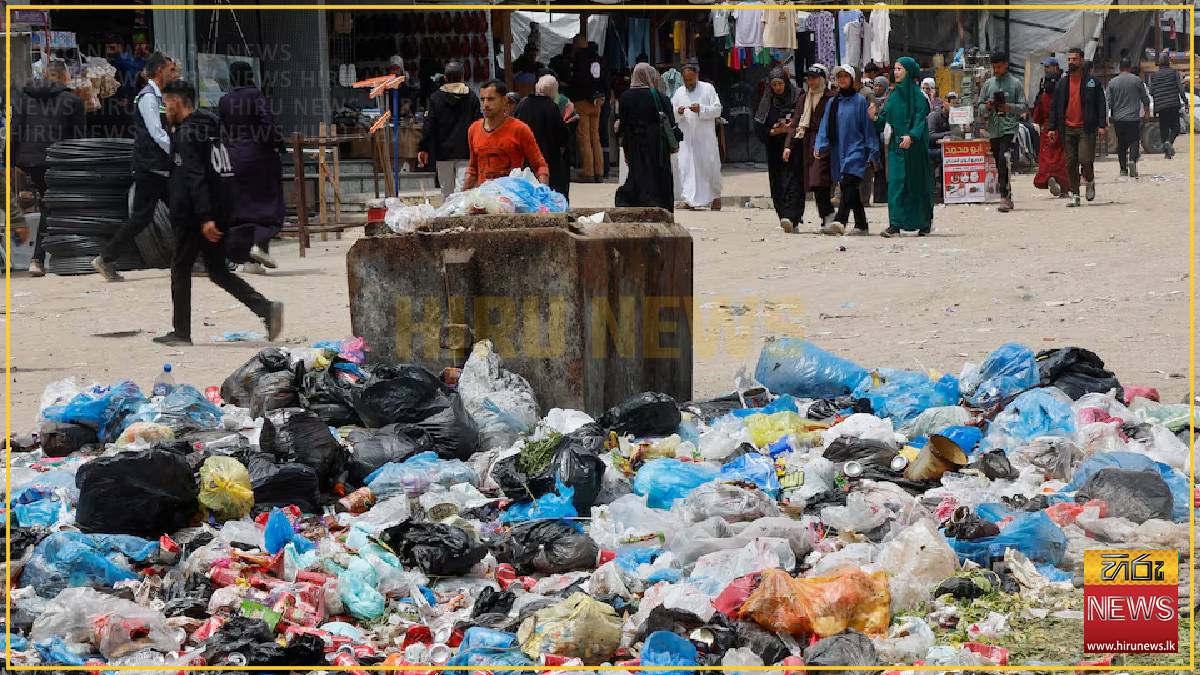 Rats infest Gaza's tent camps, biting children and spreading disease