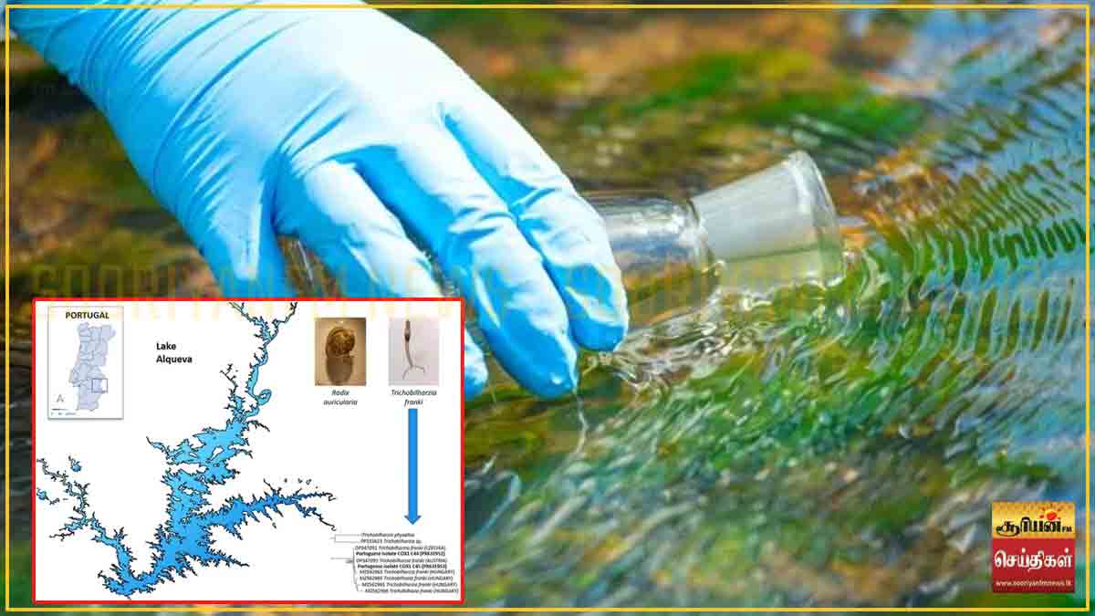 சுற்றுலாப் பயணிகள் மற்றும் பொதுமக்களுக்கு விடுக்கப்பட்டுள்ள அவசர எச்சரிக்கை!