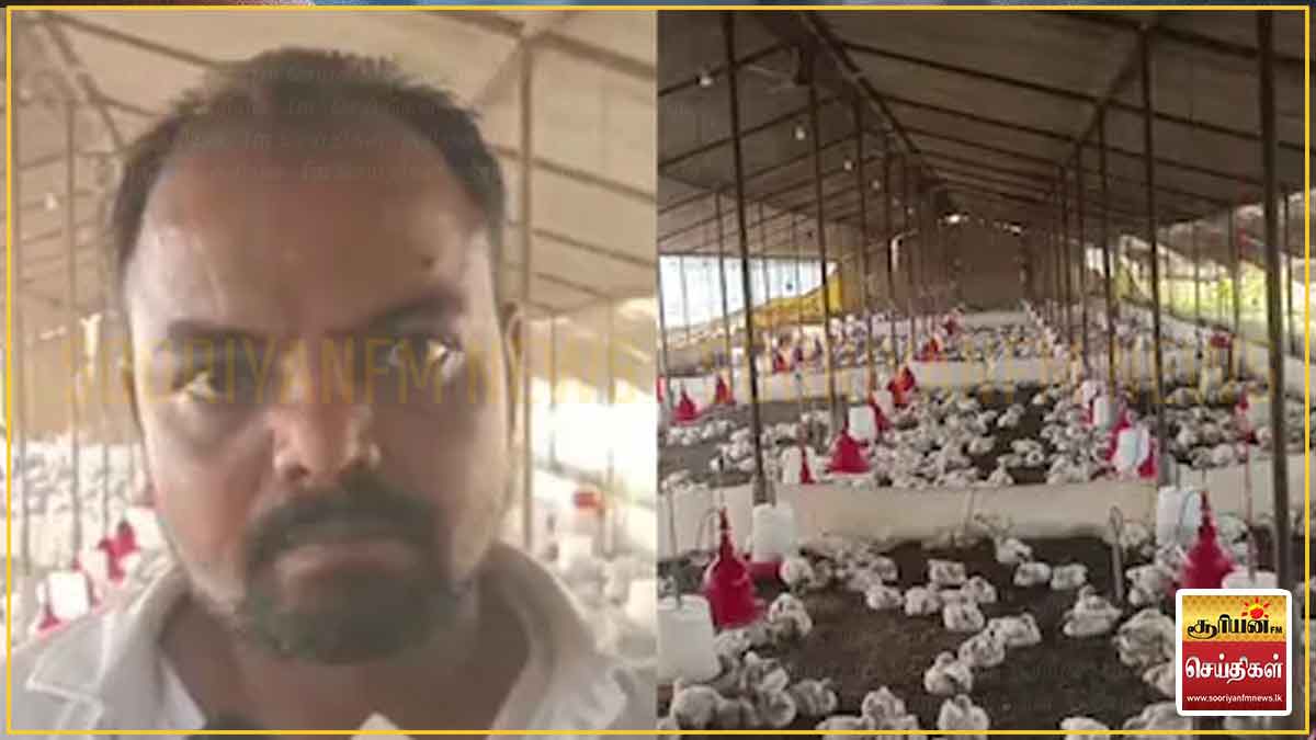 டிஜே இசையால் 140 உயிர்கள் பலி!