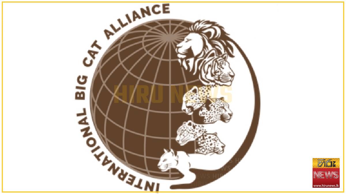 Sri Lanka becomes the newest member of International Big Cat Alliance