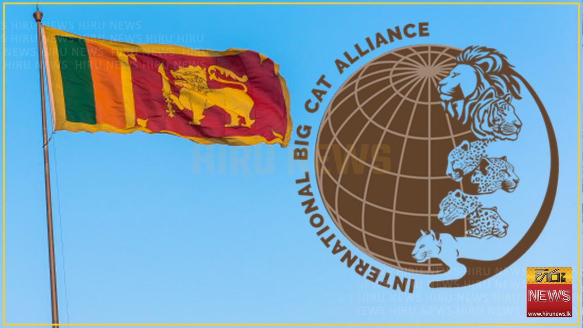 බළල් පවුලේ සතුන් සුරැකීමේ ජාත්‍යන්තර සන්ධානයට ශ්‍රී ලංකාව එක්වෙයි