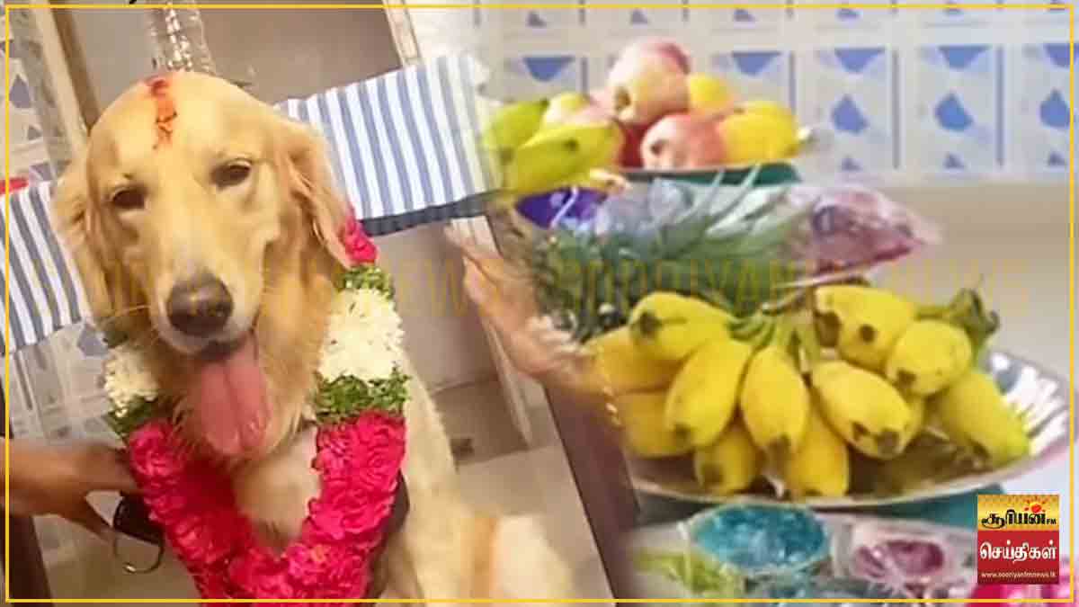 ராமநாதபுரத்தில் நெகிழ்ச்சி: செல்லப் பிராணிக்கு சீர்வரிசை வைத்து வளைகாப்பு நடத்திய குடும்பத்தினர்!
