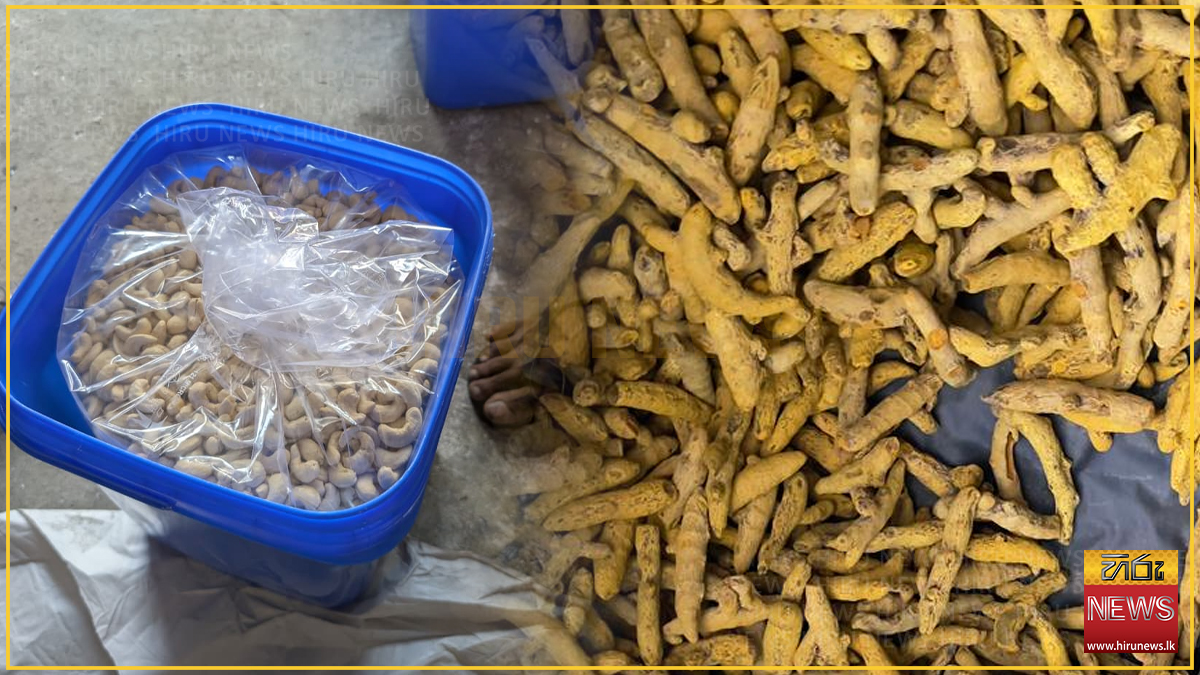 කෝටි ගණනක කහ සහ කජු තොගයක් රේගු දැලට