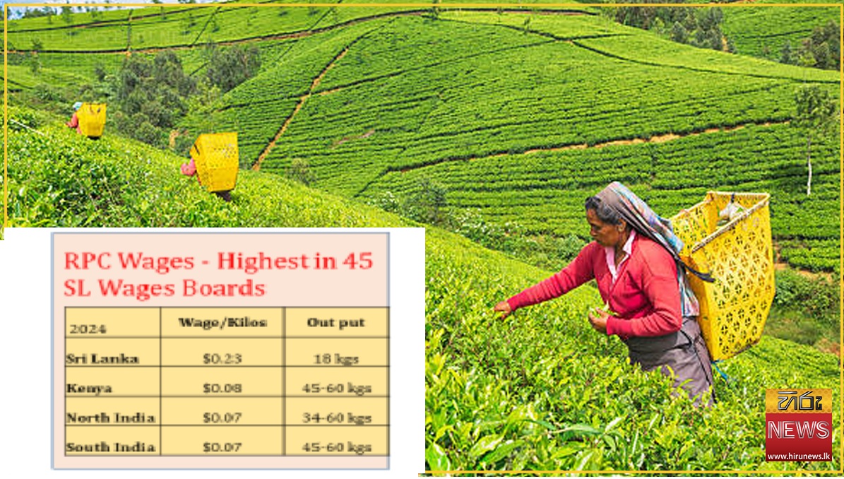       Planters seek coordinated response to stabilise tea production, and exports