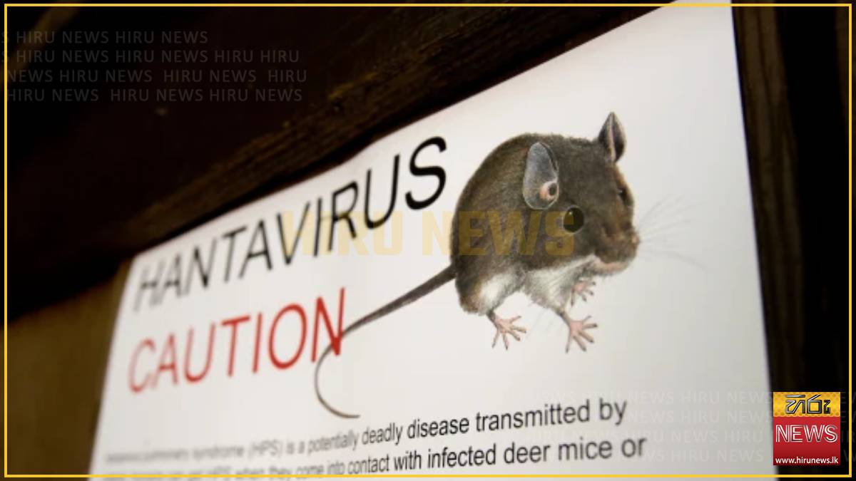 What is the hantavirus?