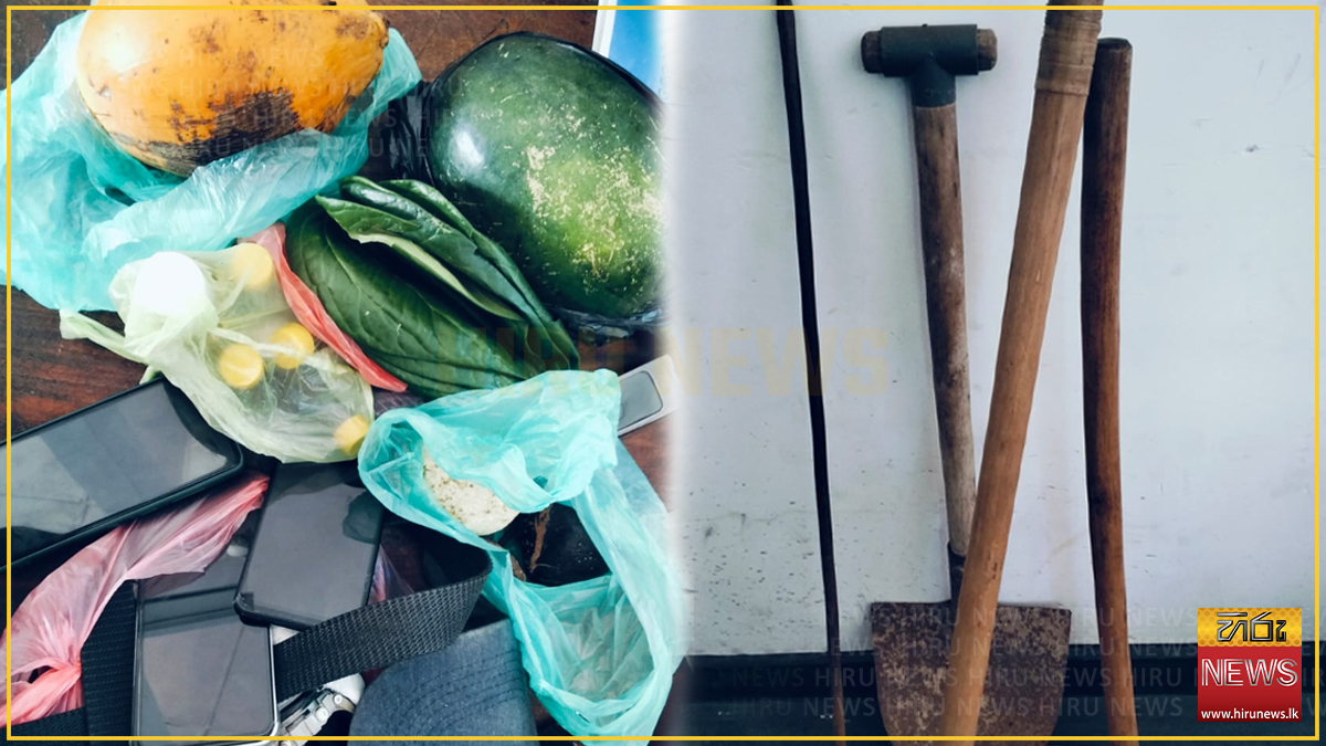 බලපත්‍ර රහිතව මැණික් ගැරූ හත් දෙනෙක් උපකරණ සමඟ කොටු