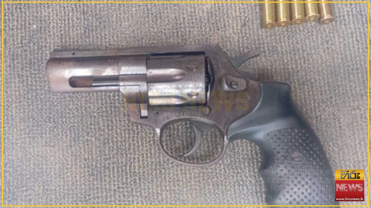 Man arrested for firing foreign revolver