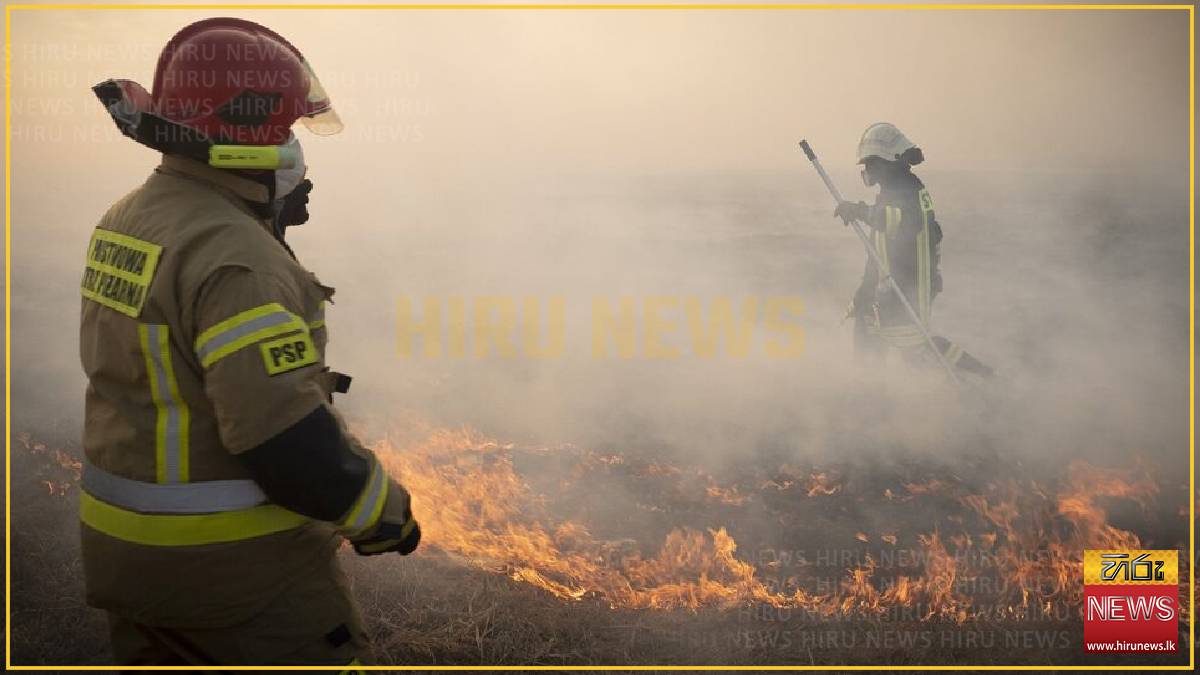 Eastern Poland forest fire kills pilot, scorches over 200 hectares