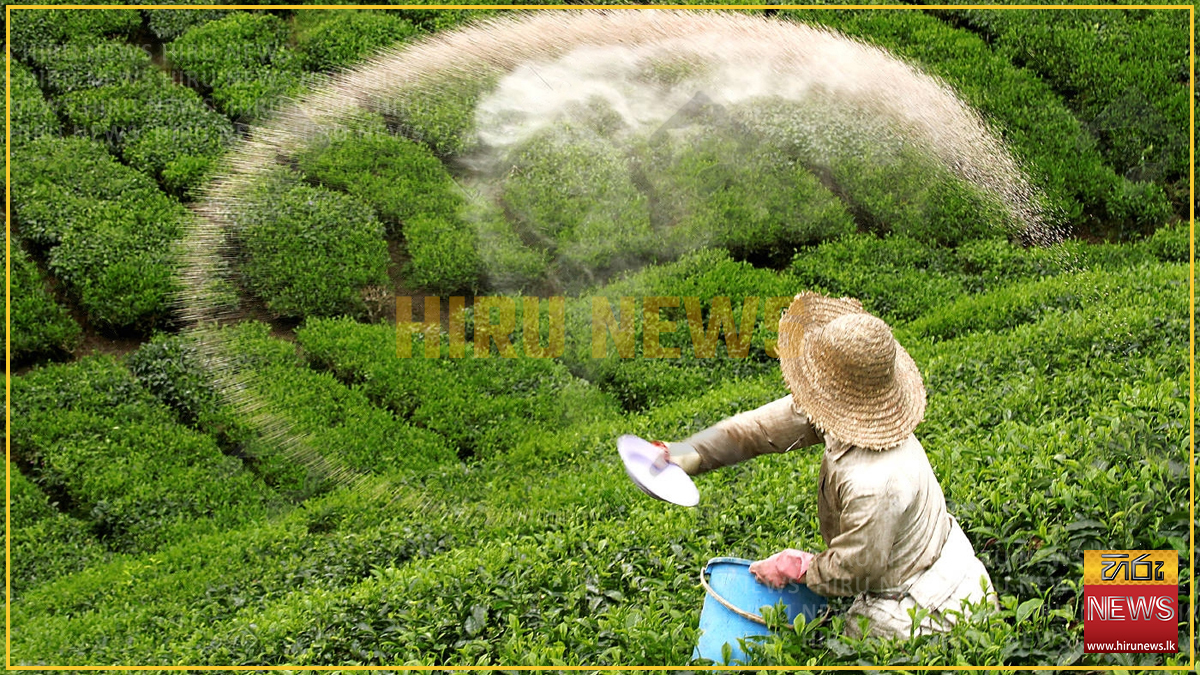 Additional+fertiliser+subsidy+for+small+tea+estate+owners
