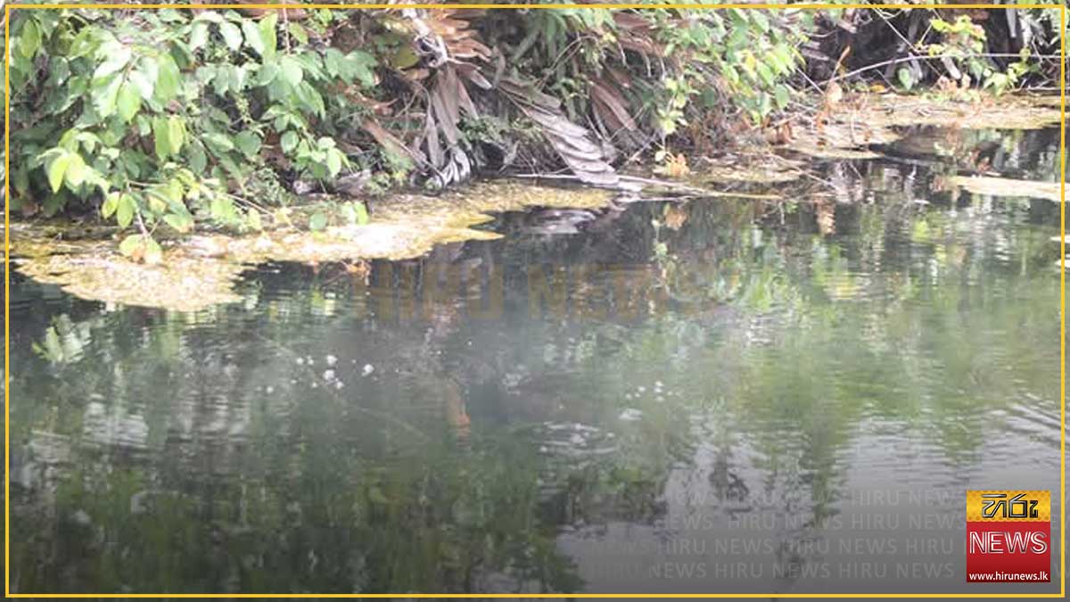Sri+Lanka+to+gazette+first+geothermal+wetland+in+Kapurella