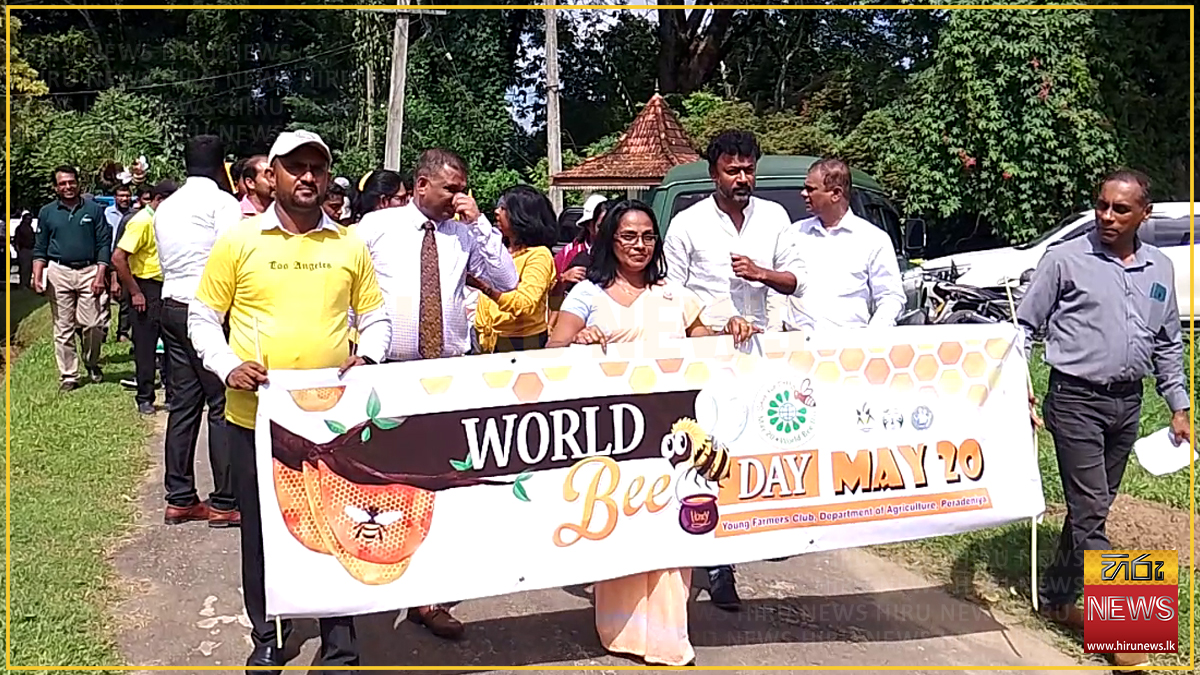 Sri+Lanka+plans+to+quadruple+domestic+honey+production