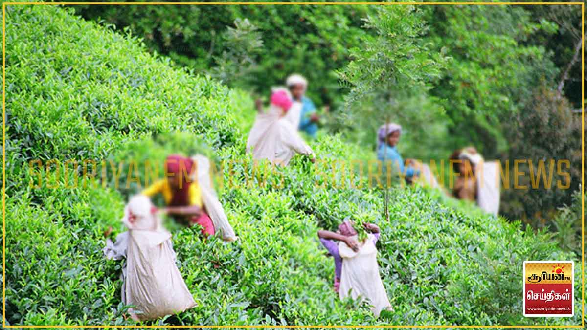 நாடாளுமன்ற தீர்மானங்களுக்கு மத்தியிலும் தொடரும் அநீதி: வெலிமடையில் ...