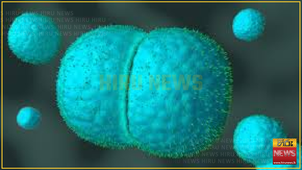 Special+advisory+issued+to+control+enteroviral+meningitis