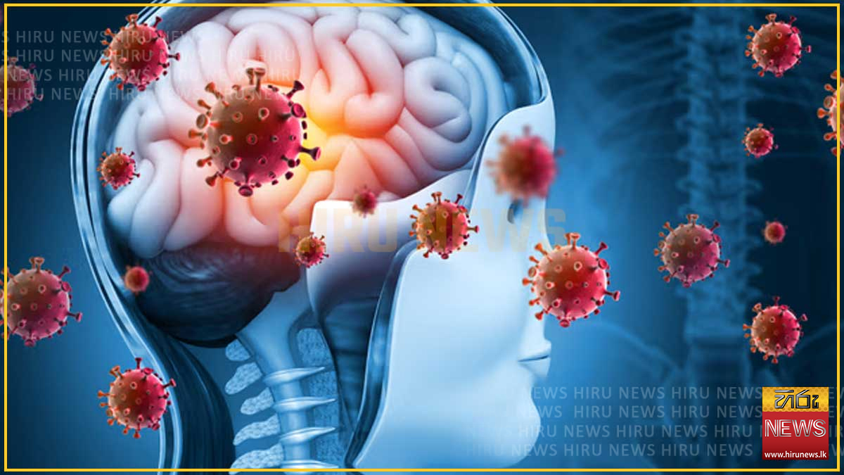 Guidelines+released+to+curb+meningitis+outbreak+in+schools