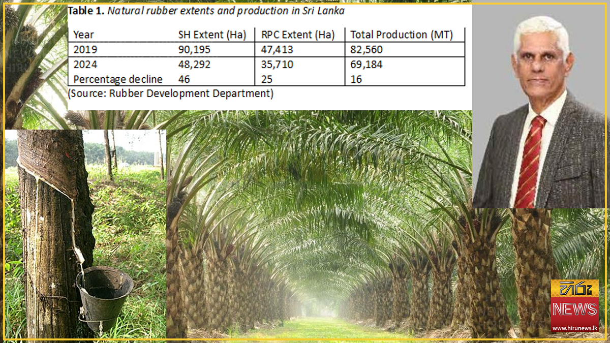 Has oil palm industry hampered the natural rubber industry?