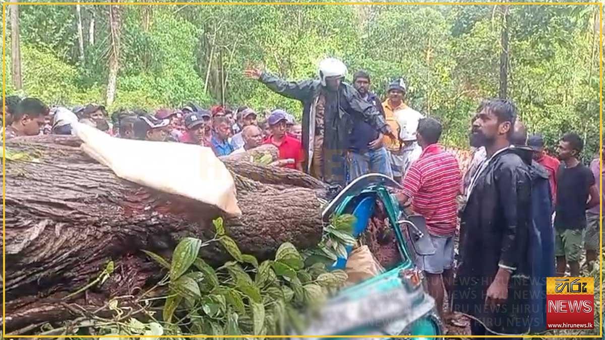 නාවලපිටියේ දී ත්‍රීරෝද රථයක් මතට ගසක් කඩා වැටී සිසුවෙක් ඇතුළු තිදෙනෙක් මරුට
