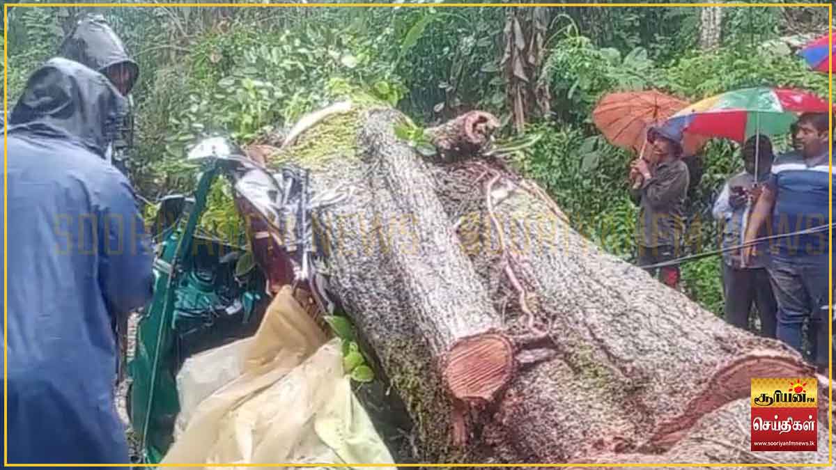 முச்சக்கரவண்டி மீது மரம் முறிந்து வீழ்ந்ததில் பாடசாலை மாணவர் உட்பட மூவர் உயிரிழப்பு
