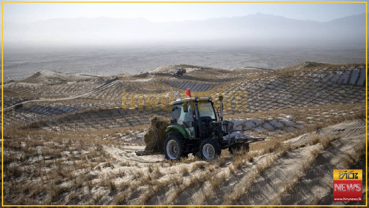 AI empowers China's sandstorm forecasting with speed, precision