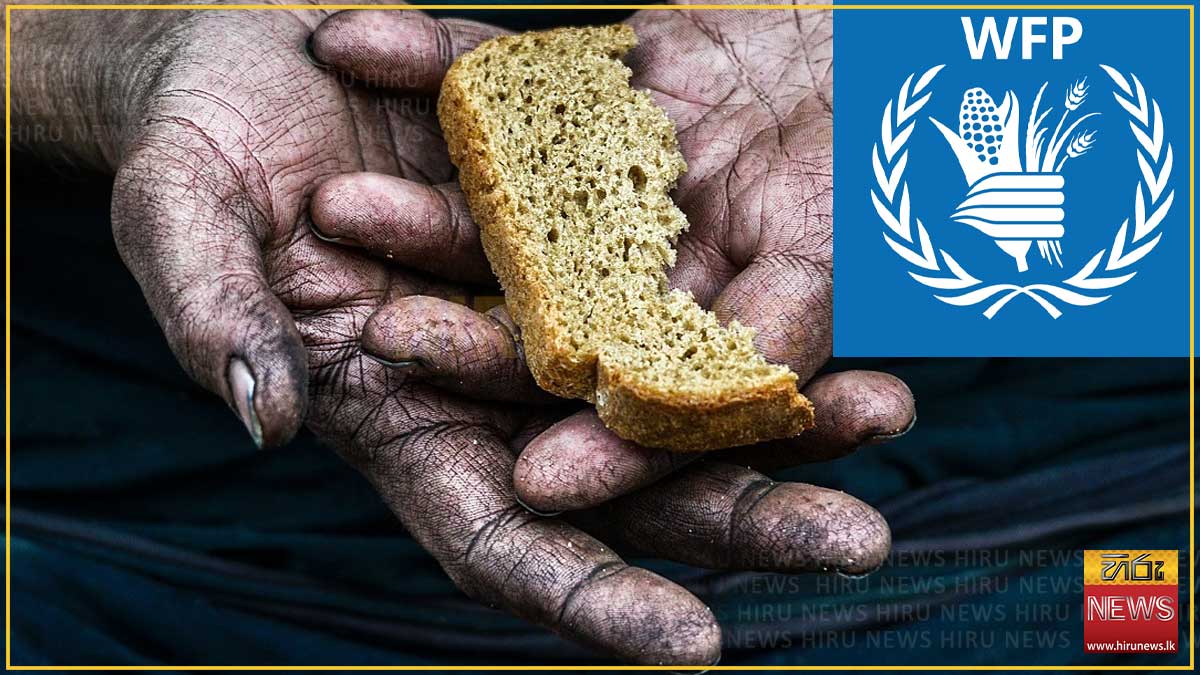 මැදපෙරදිග අර්බුදය නිසා ලාංකිකයින් ලක්ෂ 13ක් දැඩි ආහාර හිඟයකට මුහුණ දීමේ අවදානමක්