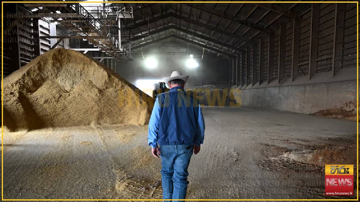 Screwworm border closure fuels beef boom in Mexico
