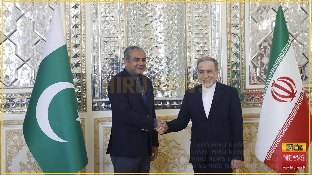 Pakistan’s Naqvi meets Iran’s Araghchi in Tehran