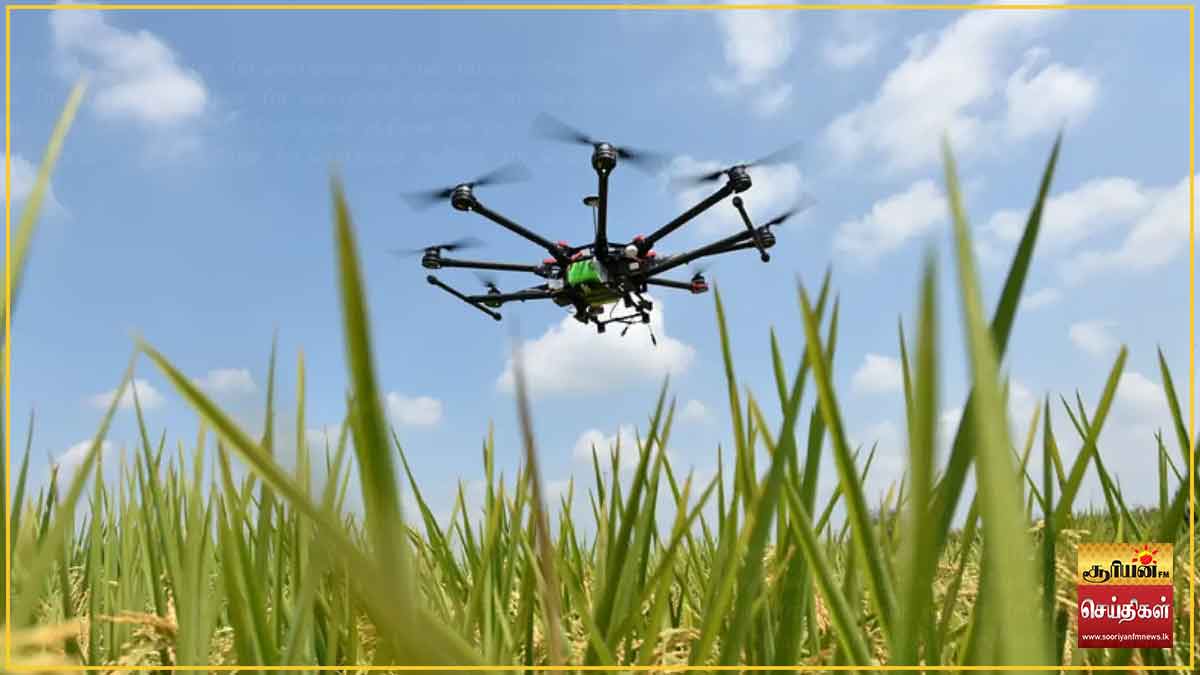 பெரும்போக நெற்செய்கைக்கு ட்ரோன் தொழில்நுட்பம்: உள்நாட்டு மென்பொருளுடன் புதிய அறிமுகம்!