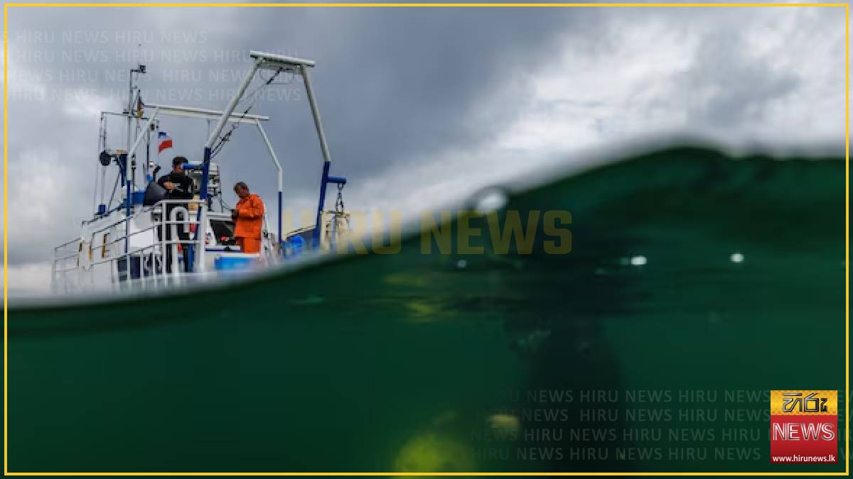 The race to bolster the ocean’s potential to combat climate change