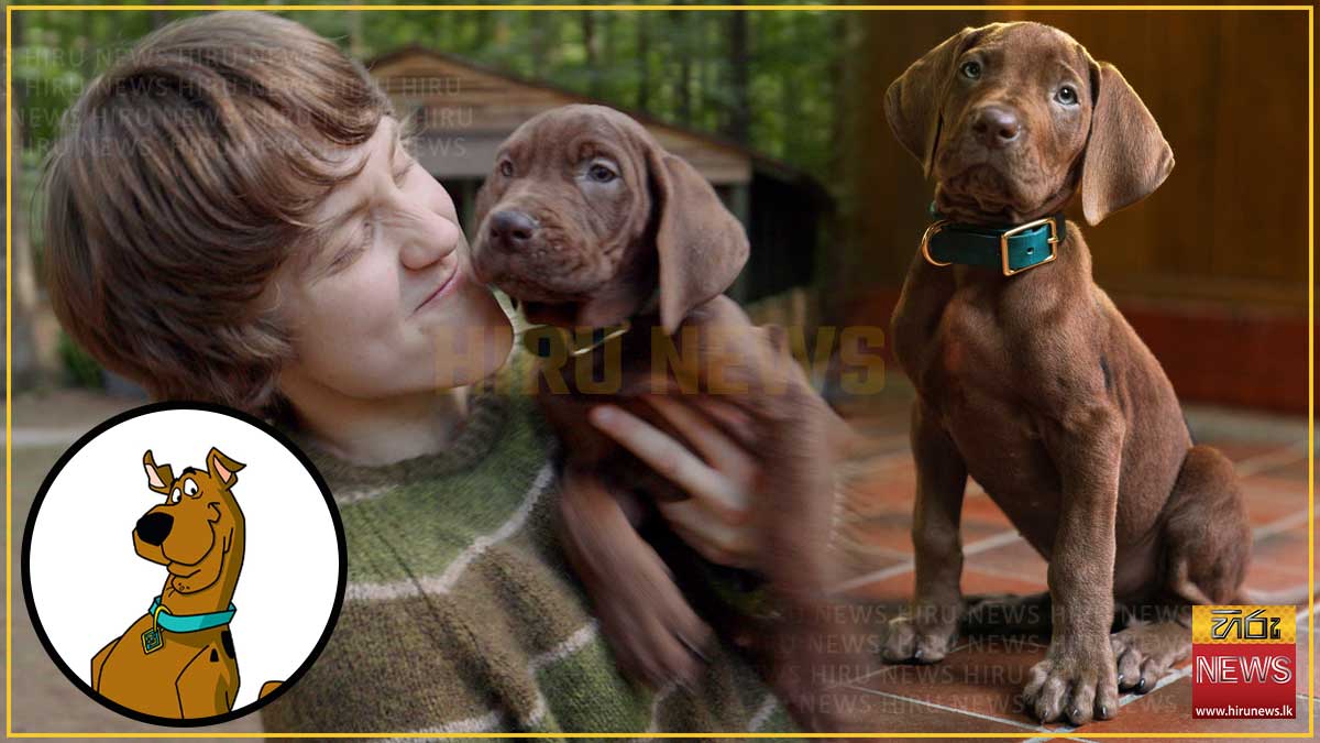 'Scooby-Doo Origins' ටෙලිමාලාව ගැන අලුත්ම තොරතුරු රැසක් එළියට