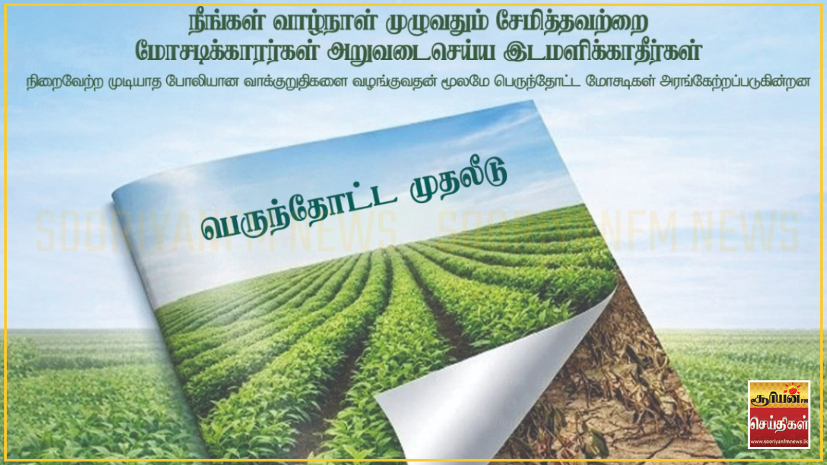 பெருந்தோட்ட முதலீட்டு மோசடிகள் குறித்து இலங்கை மத்திய வங்கி அவசர எச்சரிக்கை!