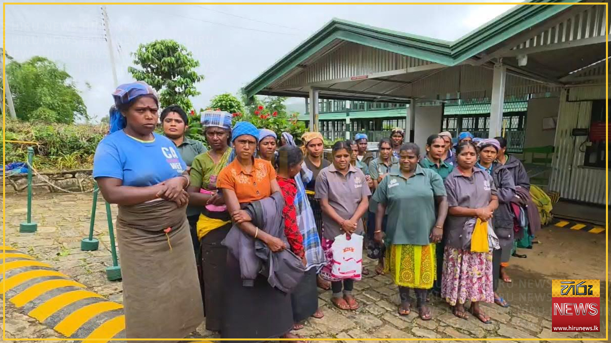 දික්ඔය ඩන්කන් වතුයායේ කම්කරුවන් වැඩ වර්ජනයක