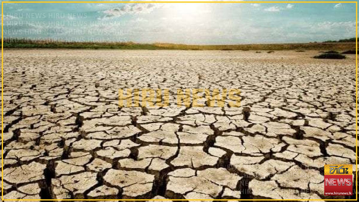 Food Policy and Security Committee discusses preparedness for potential El Niño impacts