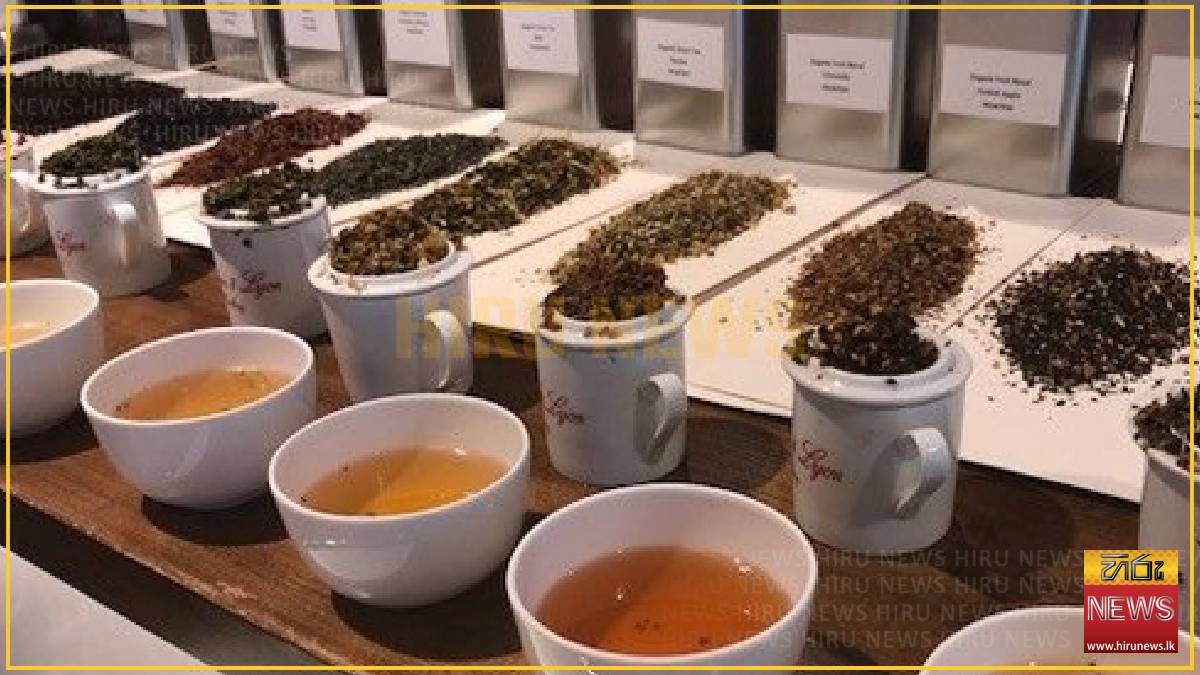Sri Lanka’s tea exports to UAE rise amid strong demand