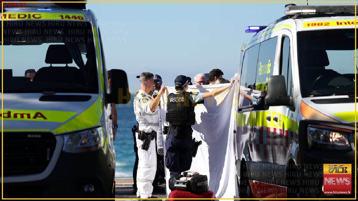 Woman seriously injured in shark attack at Sydney beach