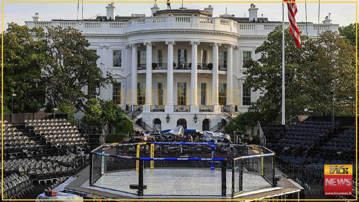 Why is Trump hosting a cage fight at the White House?