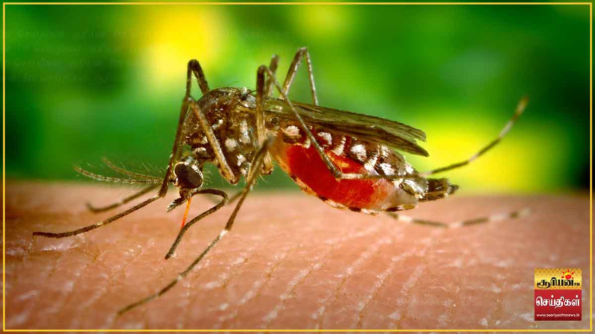 நாடளாவிய ரீதியில் நாளை முதல் டெங்கு ஒழிப்பு வாரம் ஆரம்பம்