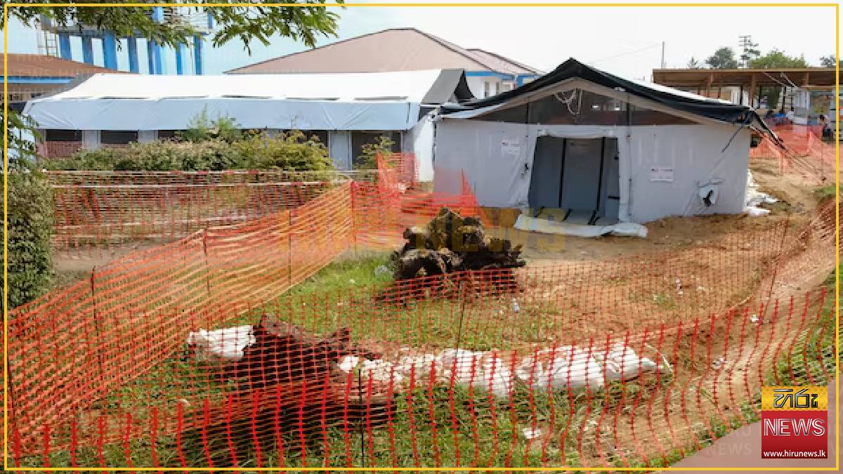 Red Cross says Congo Ebola epidemic yet to peak