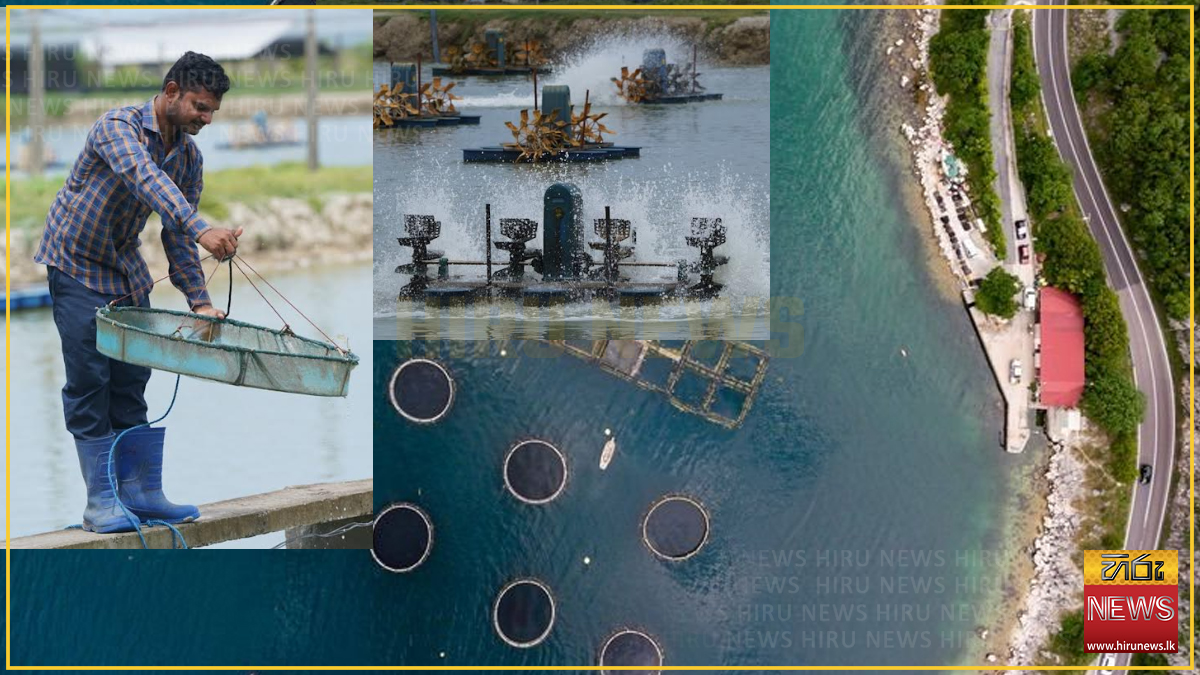 Asia drives global aquatic production to record high