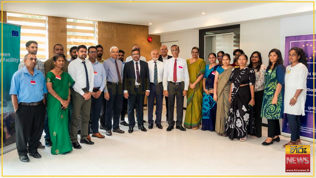 Sri Lanka’s rubber sector gears up for EU sustainability rules