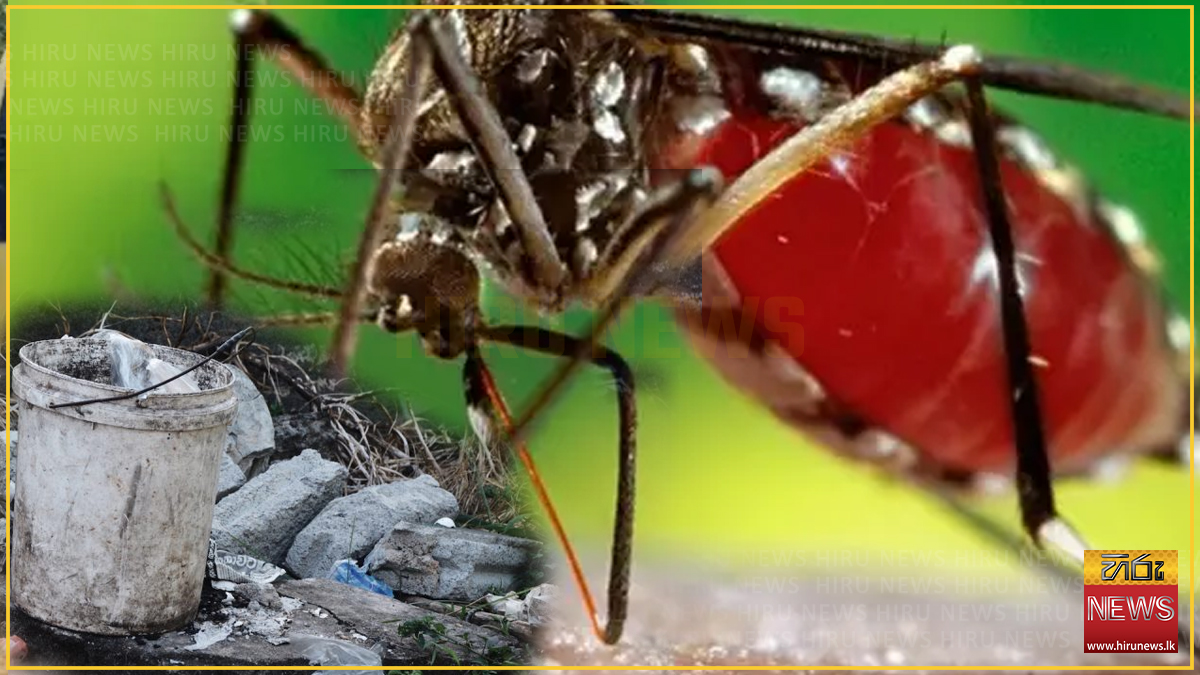 ඩෙංගු තවාන් දැමු ගොතටුවේ පුද්ගලයන් 136කට සහ ආයතන 23කට ලක්ෂ 16යක දඩ