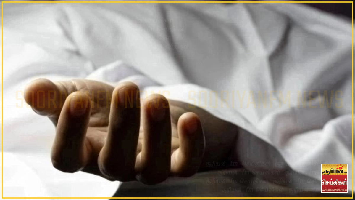 மின்சாரம் தாக்கி தோட்டத்தொழிலாளி உயிரிழப்பு