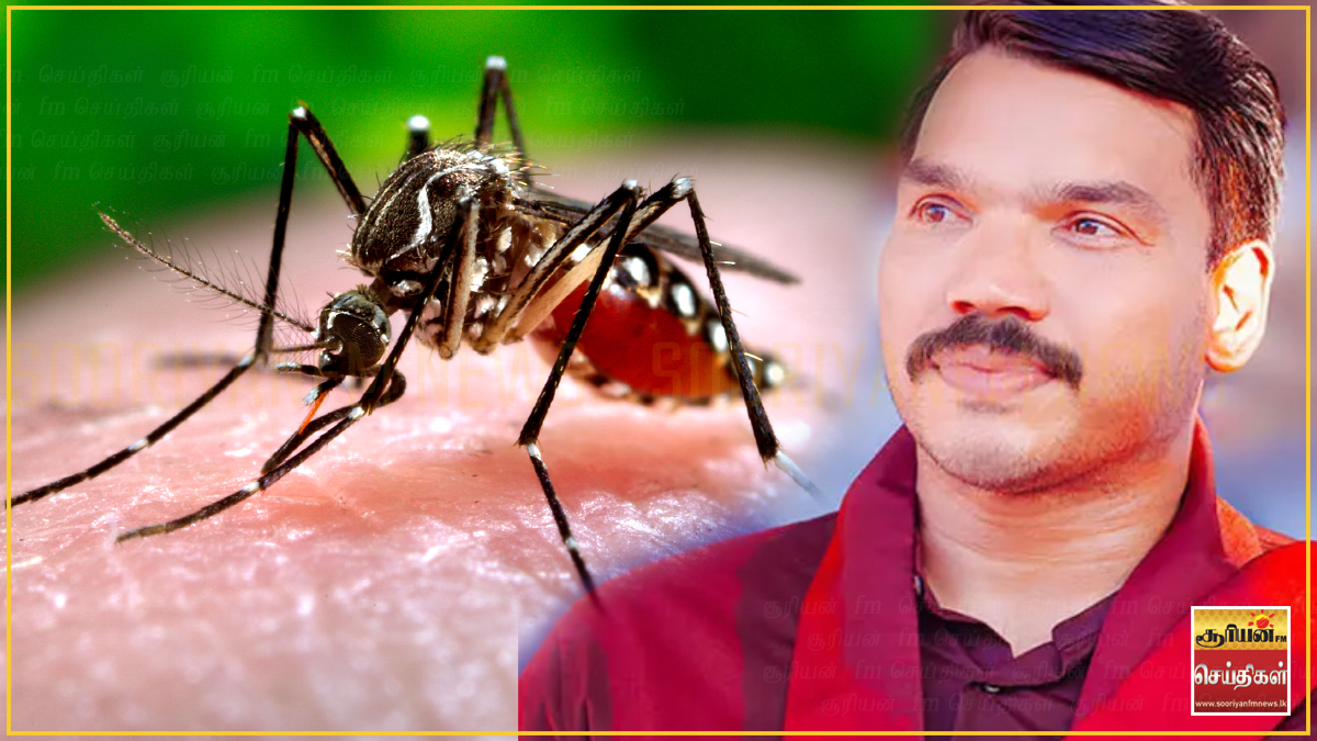 பத்து நோயாளிகள் இருந்தால்தான் டெங்கு ஒழிப்பா? – அதிகாரிகளின் பதிலால் நாமல் அதிருப்தி!