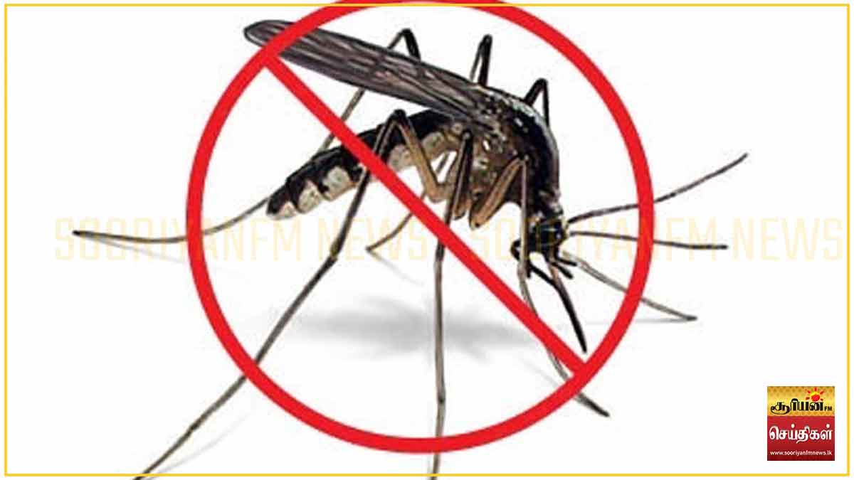 நாட்டில் டெங்கு மரணங்கள் 28 ஆக அதிகரிப்பு: அரச நிறுவனங்களை சோதனையிட விசேட நடவடிக்கை