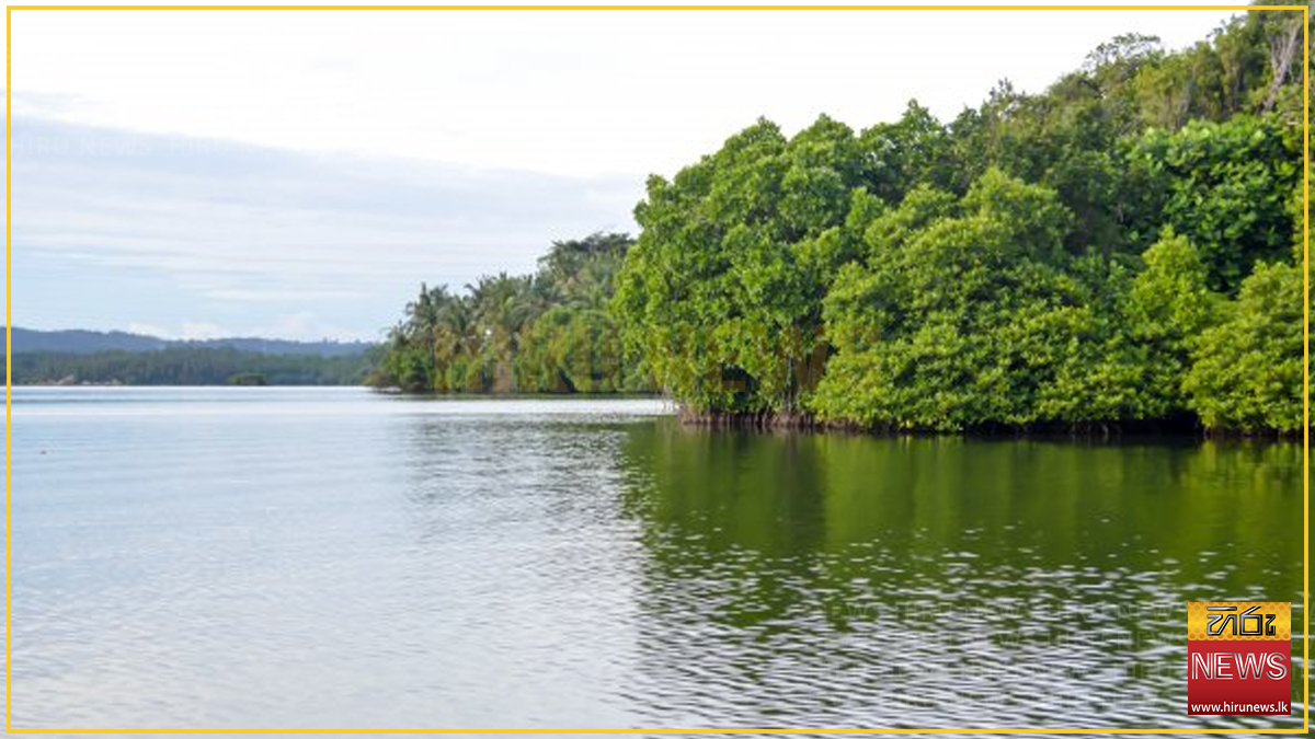 කොග්ගල මෝයකටේ දිය නෑමට ගිය පුද්ගලයෙකු දියේ ගිලී මරුට