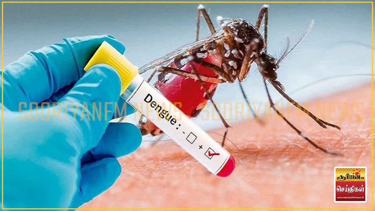 நாட்டில் தீவிரமாக அதிகரிக்கும் டெங்கு நோயாளர் எண்ணிக்கை: இந்த ஆண்டில் முதல்முறையாக ஒரே நாளில் 1,000க்கும் அதிகமான நோயாளர்கள் அனுமதி!