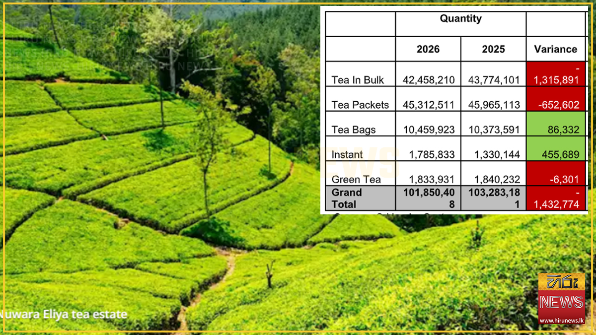 Tea Exports up in May despite FOB value dip; Türkiye tops importers list