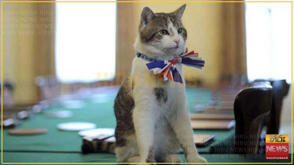Larry the cat could welcome seventh prime minister