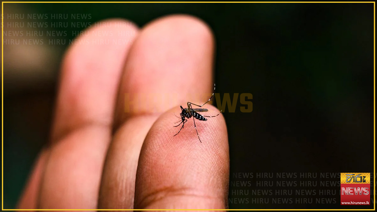 ඩෙංගු රෝගීන් තව වැඩි වුණොත් රෝහල් කළමනාකරණය කරගන්න අමාරුයි - නි. ඇමති රුවන්